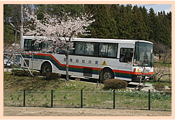 泉の杜幼稚園の一日