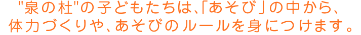 泉の杜のこどもたちは、「あそび」の中から、体力づくりや、あそびのルールを身につけます。