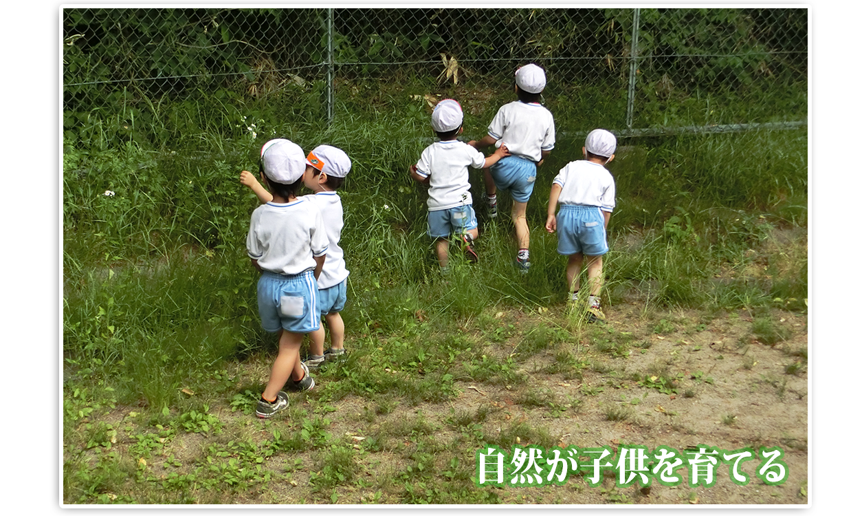 自然が子供を育てる